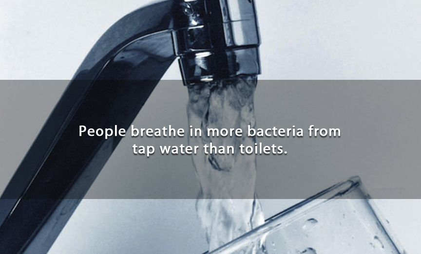 lead in tap water - People breathe in more bacteria from tap water than toilets.