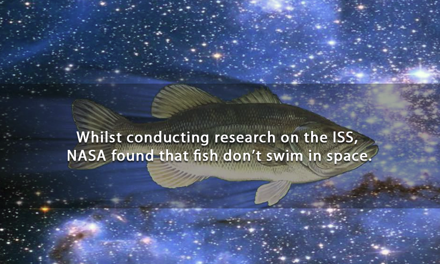 nature - Whilst conducting research on the Iss, Nasa found that fish don't swim in space.