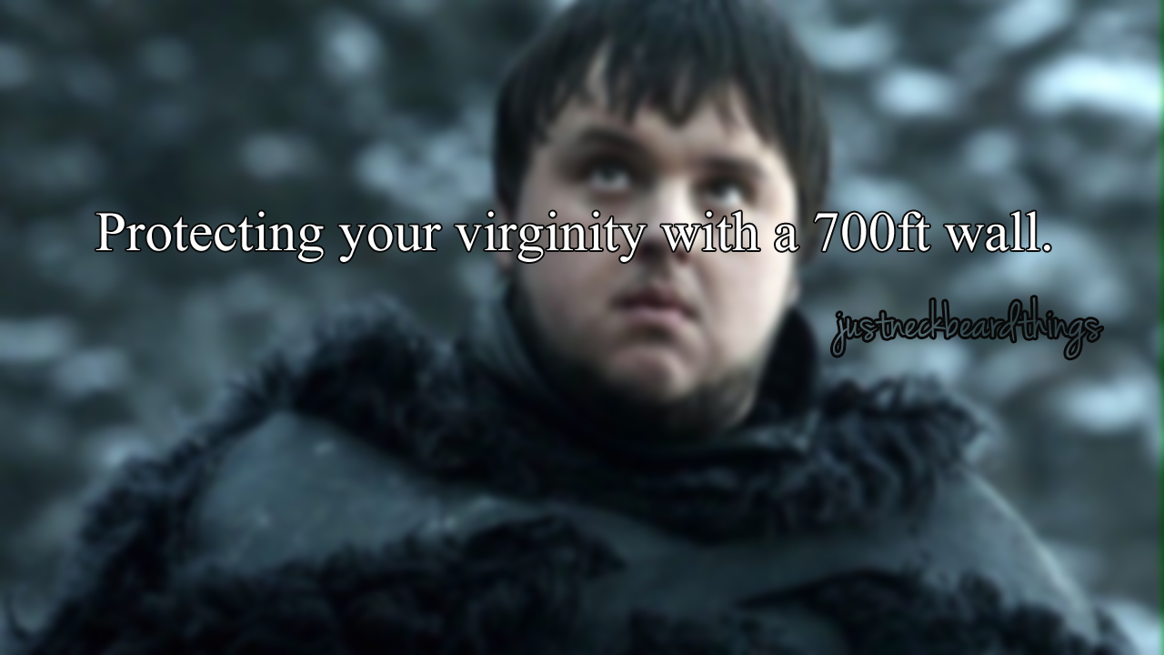 just neckbeard things - Protecting your virginity with a 700ft wall. prostred bearddhings