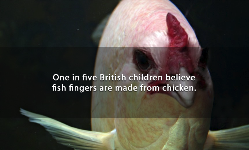 chicken fishy - One in five British children believe fish fingers are made from chicken.
