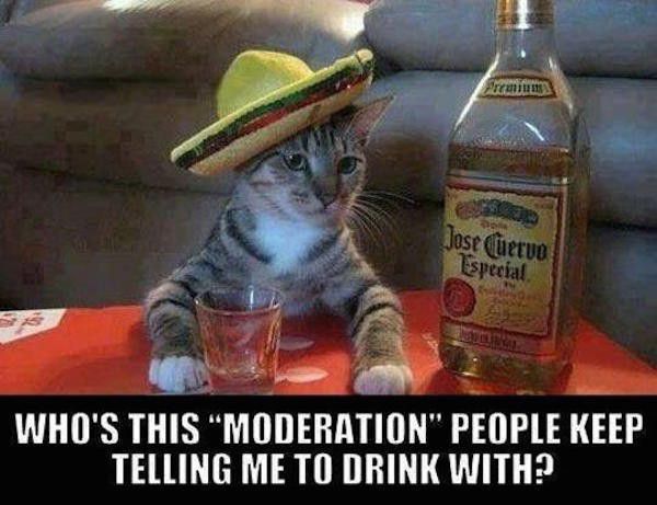 memes - funny drinking - Jose Cuervo Especial Who'S This "Moderation" People Keep Telling Me To Drink With?