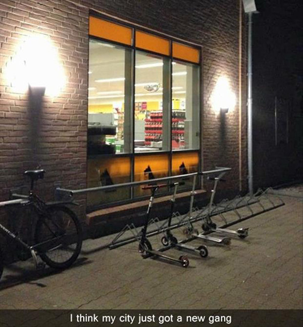 funny snapchat funny edgy - I think my city just got a new gang