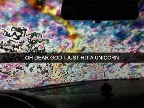 funny snapchat oh dear god i hit a unicorn - Oh Dear God I Just Hit A Unicorn