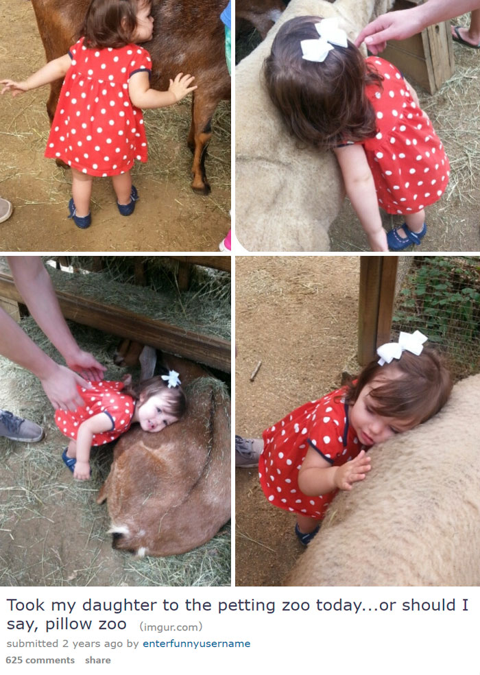 kids snapchat pet - Took my daughter to the petting zoo today...or should I say, pillow zoo imgur.com submitted 2 years ago by enterfunnyusername 625
