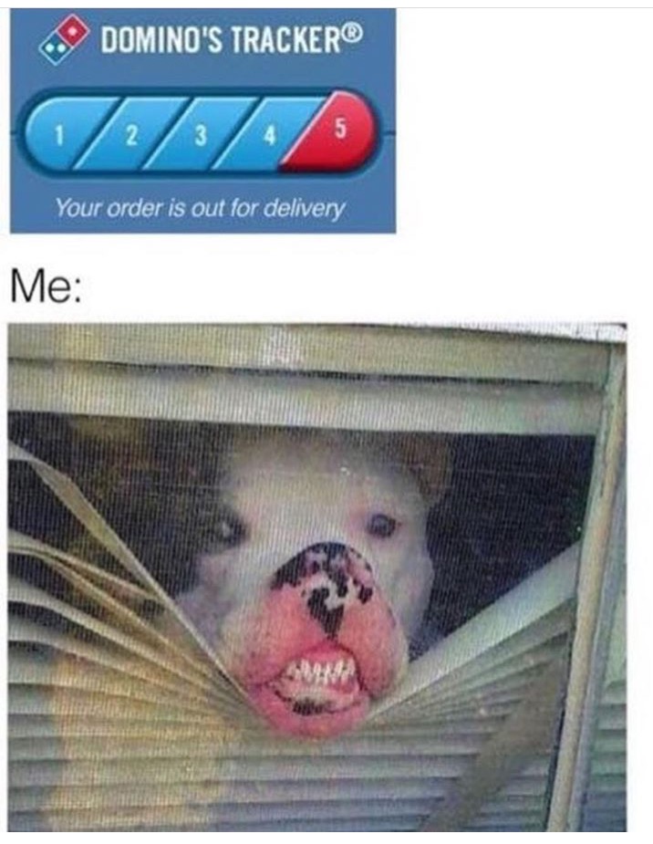 dominos delivery meme - Domino'S Tracker 3 N Your order is out for delivery Me