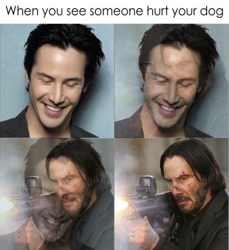 meme stream - keanu reeves - When you see someone hurt your dog