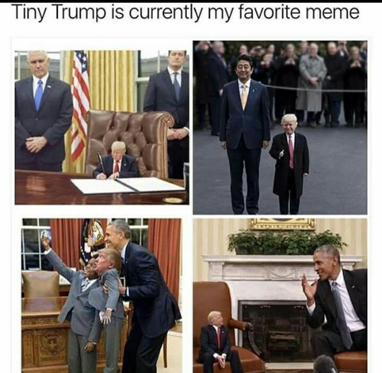 meme stream - Meme - Tiny Trump is currently my favorite meme