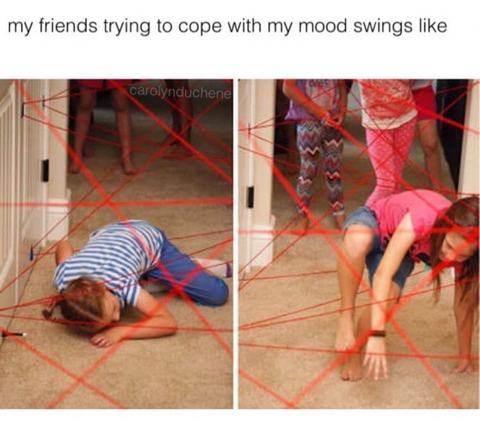 memes - im a mess memes - my friends trying to cope with my mood swings carolynduchene
