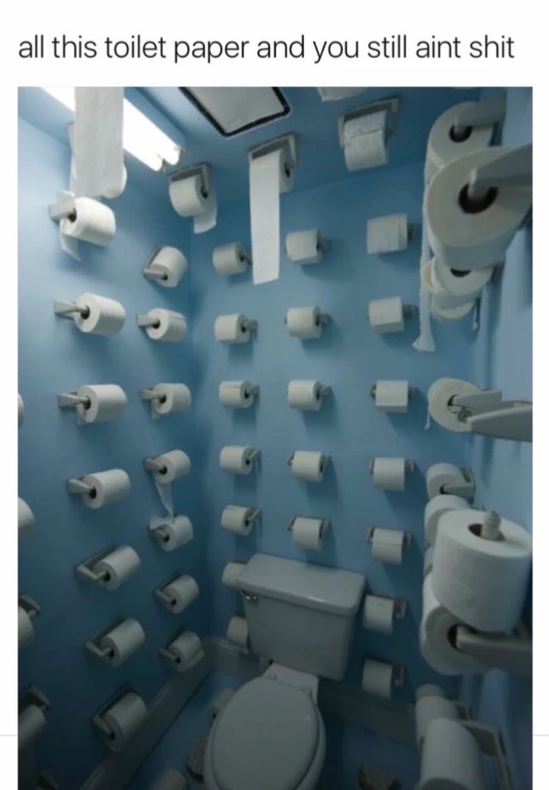 endless toilet paper roll - all this toilet paper and you still aint shit