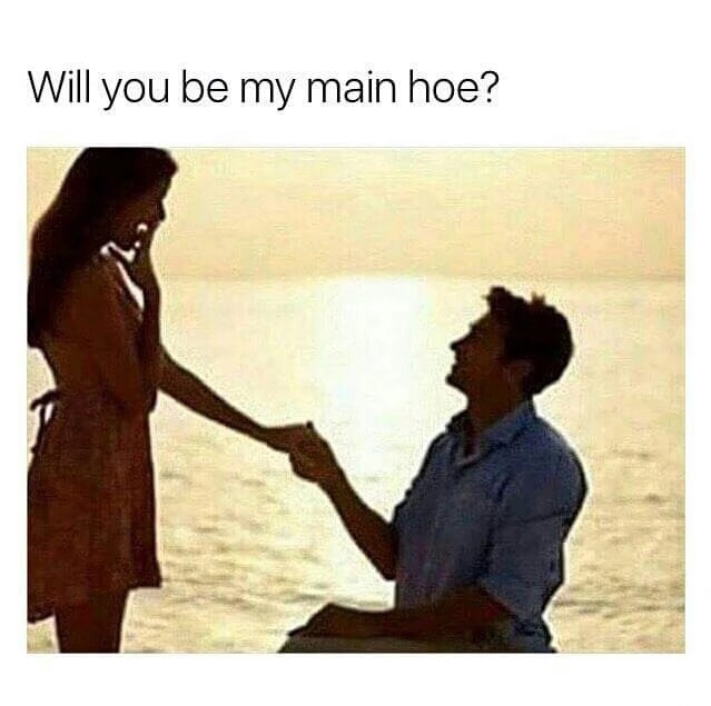funny memes, hilarious, funny jokes - will you be my main hoe - Will you be my main hoe?