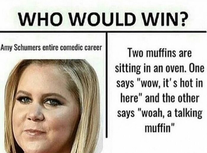 funny memes, hilarious, funny jokes - does my name mean - Who Would Win? Amy Schumers entire comedic career Two muffins are sitting in an oven. One says