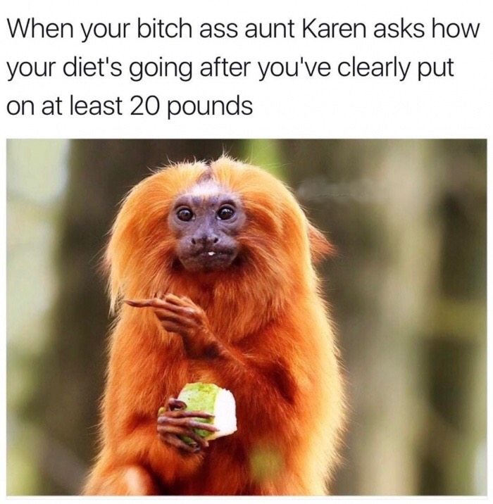 meme - too tired to give a fuck - When your bitch ass aunt Karen asks how your diet's going after you've clearly put on at least 20 pounds