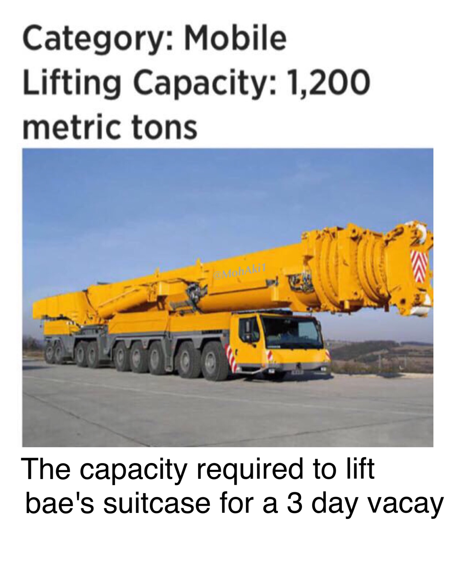 meme - liebherr ltm 11200 9.1 - Category Mobile Lifting Capacity 1,200 metric tons The capacity required to lift bae's suitcase for a 3 day vacay