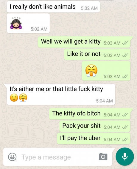 meme - number - I really don't animals Well we will get a kitty it or not Vi It's either me or that little fuck kitty The kitty ofc bitch Pack your shit Vi I'll pay the uber Vi Type a message