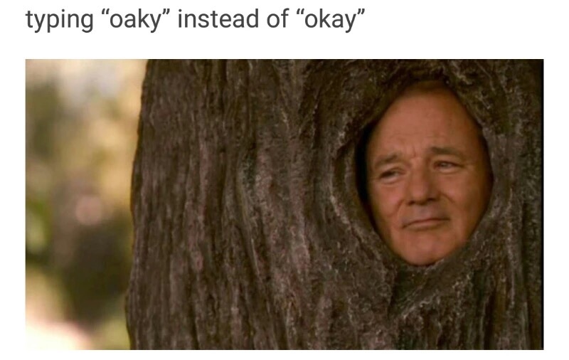 meme - oaky meme - typing "oaky" instead of okay