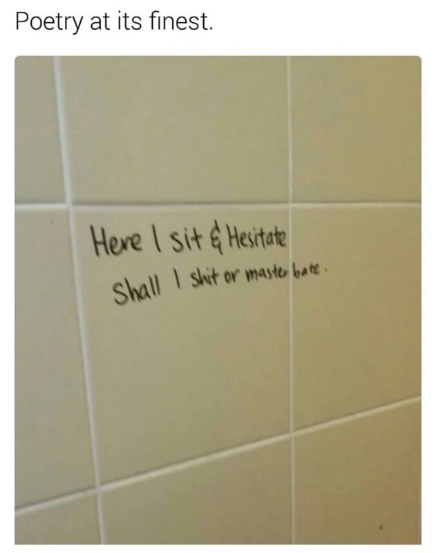 meme - toilet quotes - Poetry at its finest Here I sit & Hesitate Shall I shit or master bate.