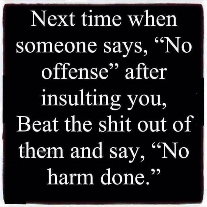 meme stream - point - Next time when someone says, No offense after insulting you, Beat the shit out of them and say, No harm done.