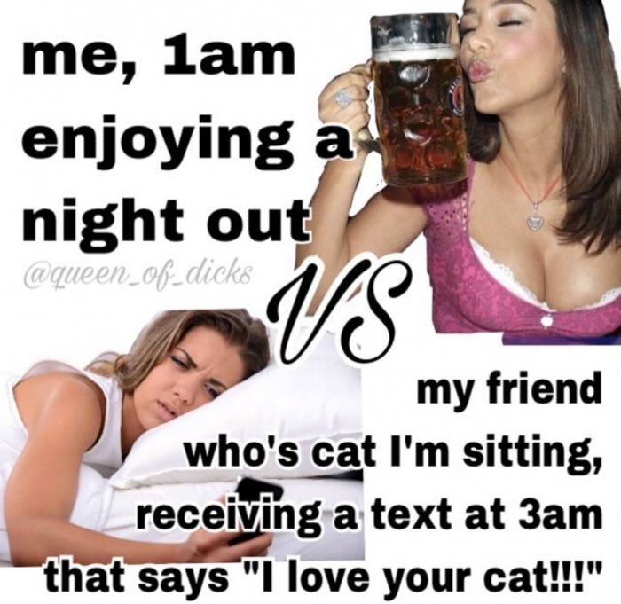 photo caption - me, lam enjoying a night out Us my friend who's cat I'm sitting, receiving a text at 3am that says "I love your cat!!!"