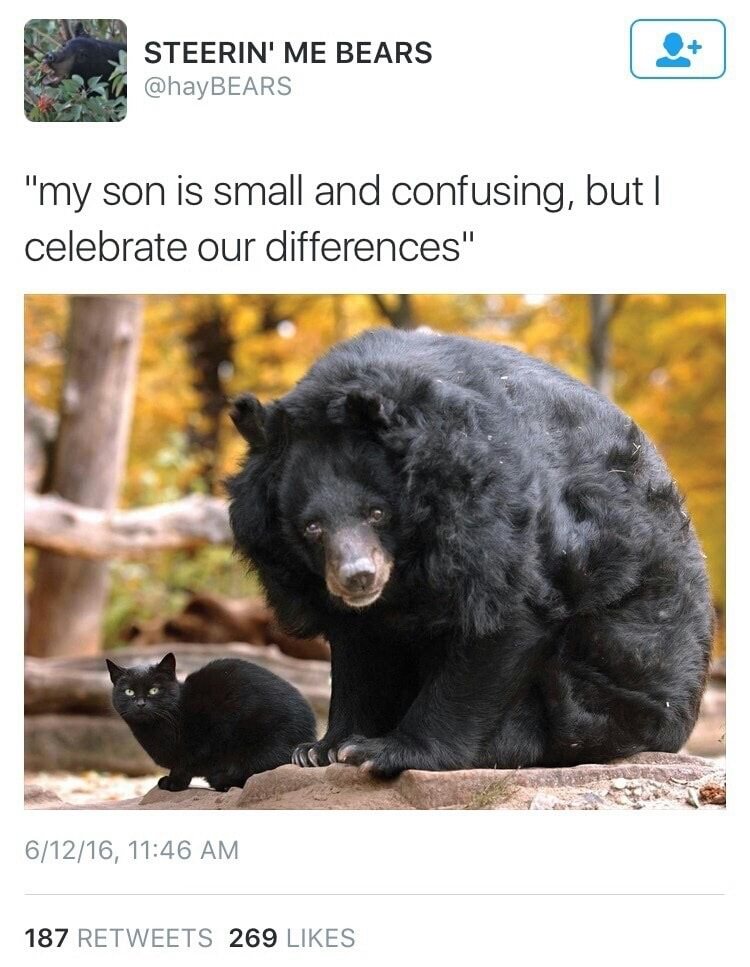 my son is small and confusing - Steerin' Me Bears "my son is small and confusing, but || celebrate our differences" 61216, 187 269