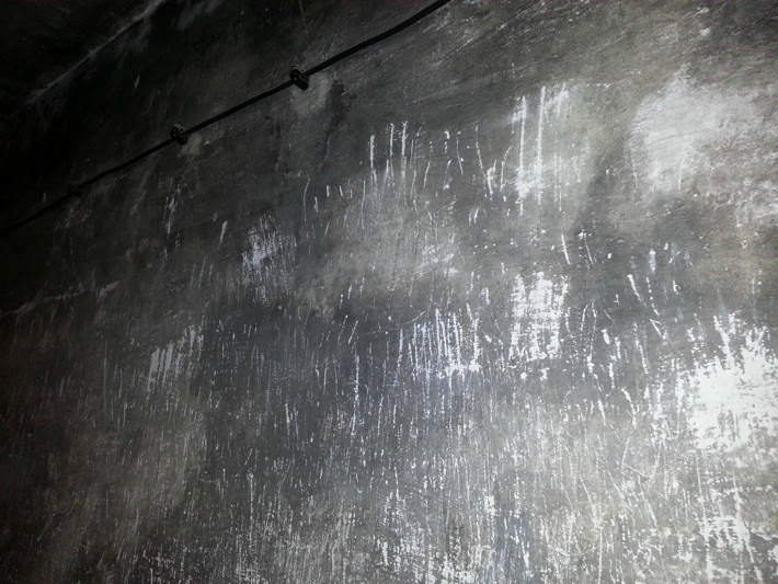 The nail scratches of Auschwitz Concentration camp inmates.