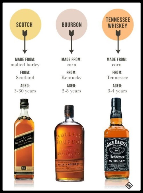 15 Interesting Facts About Whiskey Worth Drinking Too