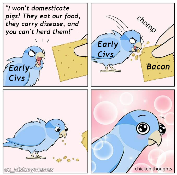 chicken thoughts - "I won't domesticate pigs! They eat our food, they carry disease, and you can't herd them!" chomp Early Civs Bacon Early Civs og historymemes chicken thoughts