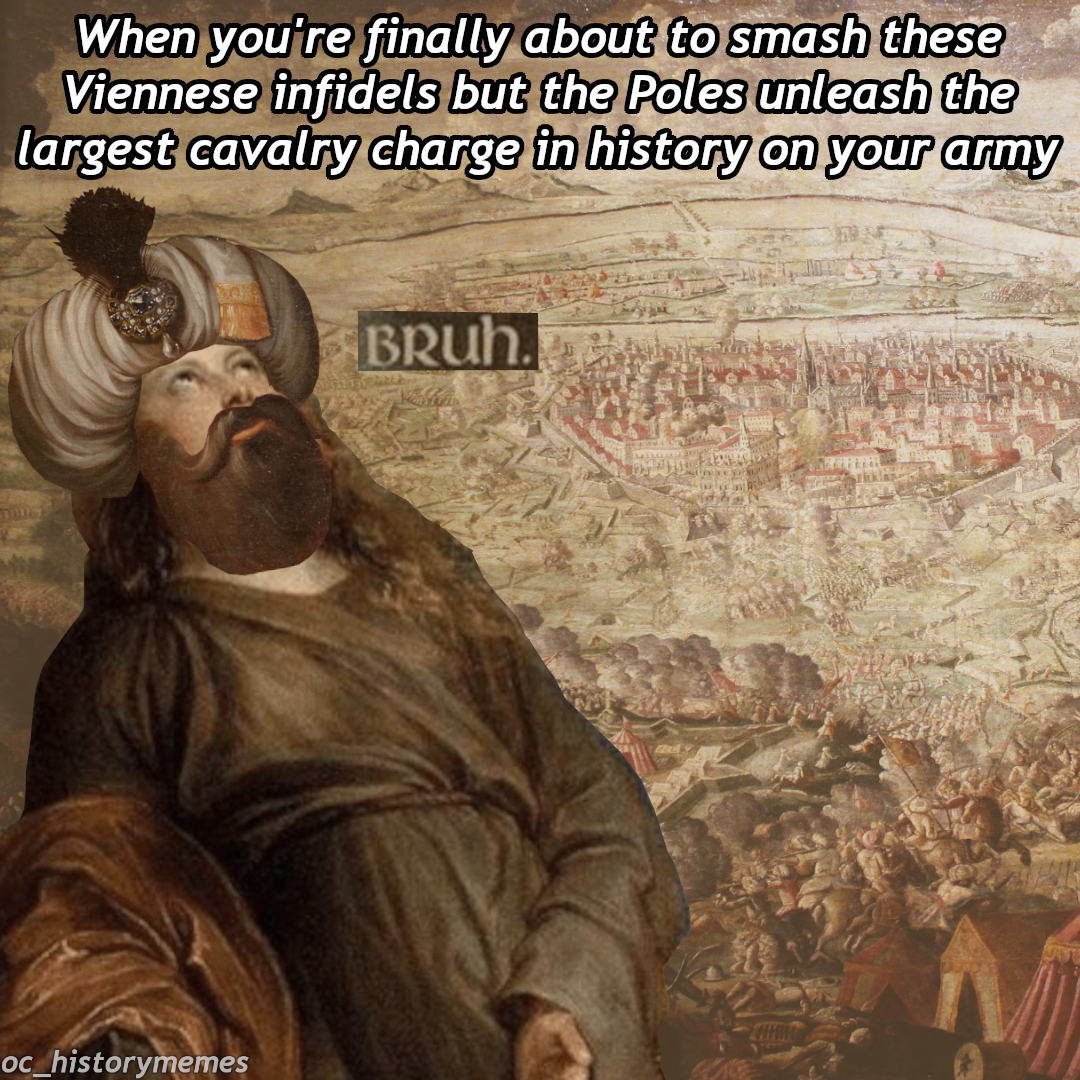 human behavior - When you're finally about to smash these Viennese infidels but the Poles unleash the largest cavalry charge in history on your army Brun. oc_historymemes