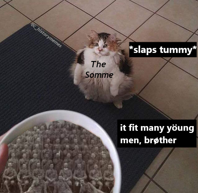 cat can have a little salami - 6c_historymemes slaps tummy The Somme it fit many yung men, brother