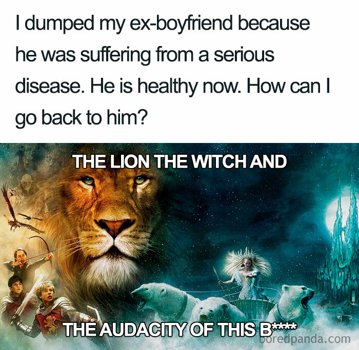 lion the witch and the audacity - I dumped my exboyfriend because he was suffering from a serious disease. He is healthy now. How can I go back to him? The Lion The Witch And The Audacity Of This Biskt boredpanda.com