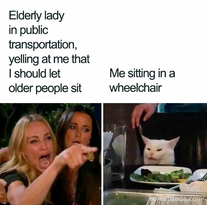 baltimore meme cat - Elderly lady in public transportation, yelling at me that I should let older people sit Me sitting in a wheelchair boredpanda.com