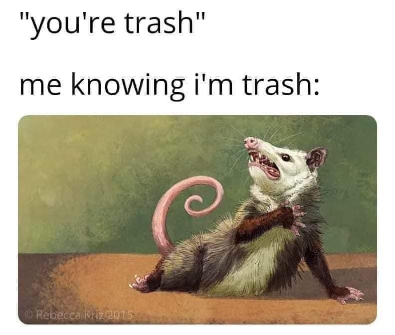 mona lisa possum - "you're trash" me knowing i'm trash Rebecca Kriz 2015