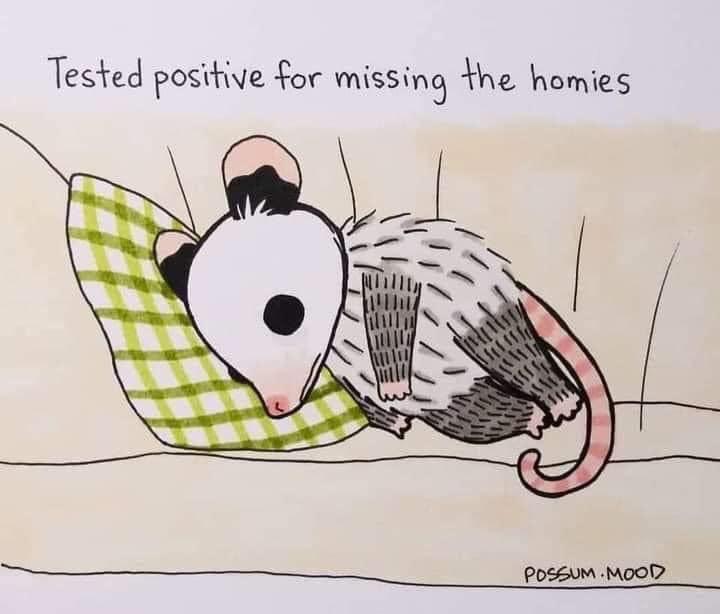 tested positive for missing the homies - Tested positive for missing the homies Possum. Mood