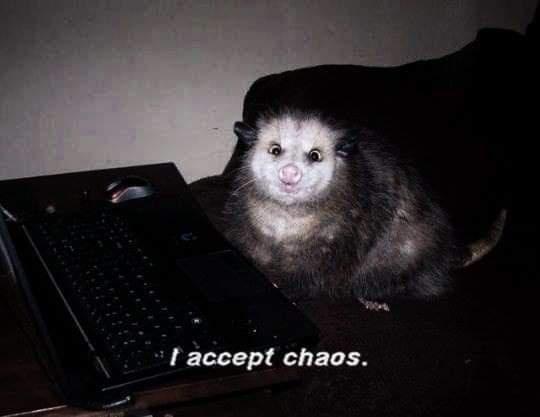 accept chaos possum - I accept chaos.