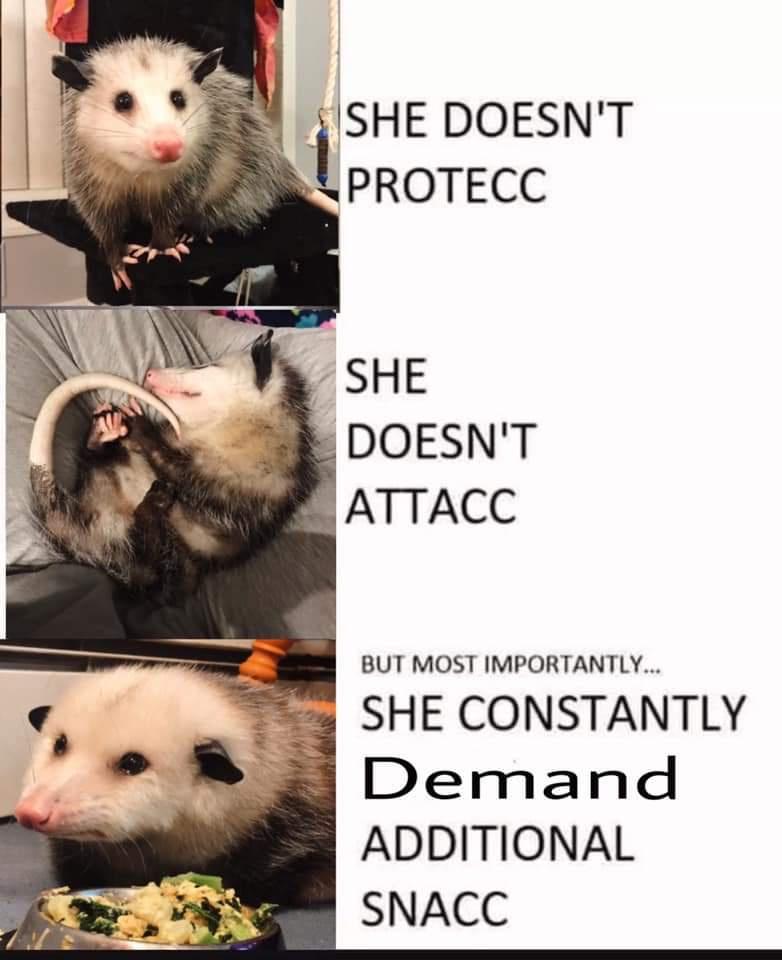 fauna - She Doesn'T Protecc She Doesn'T Attacc But Most Importantly... She Constantly Demand Additional Snacc