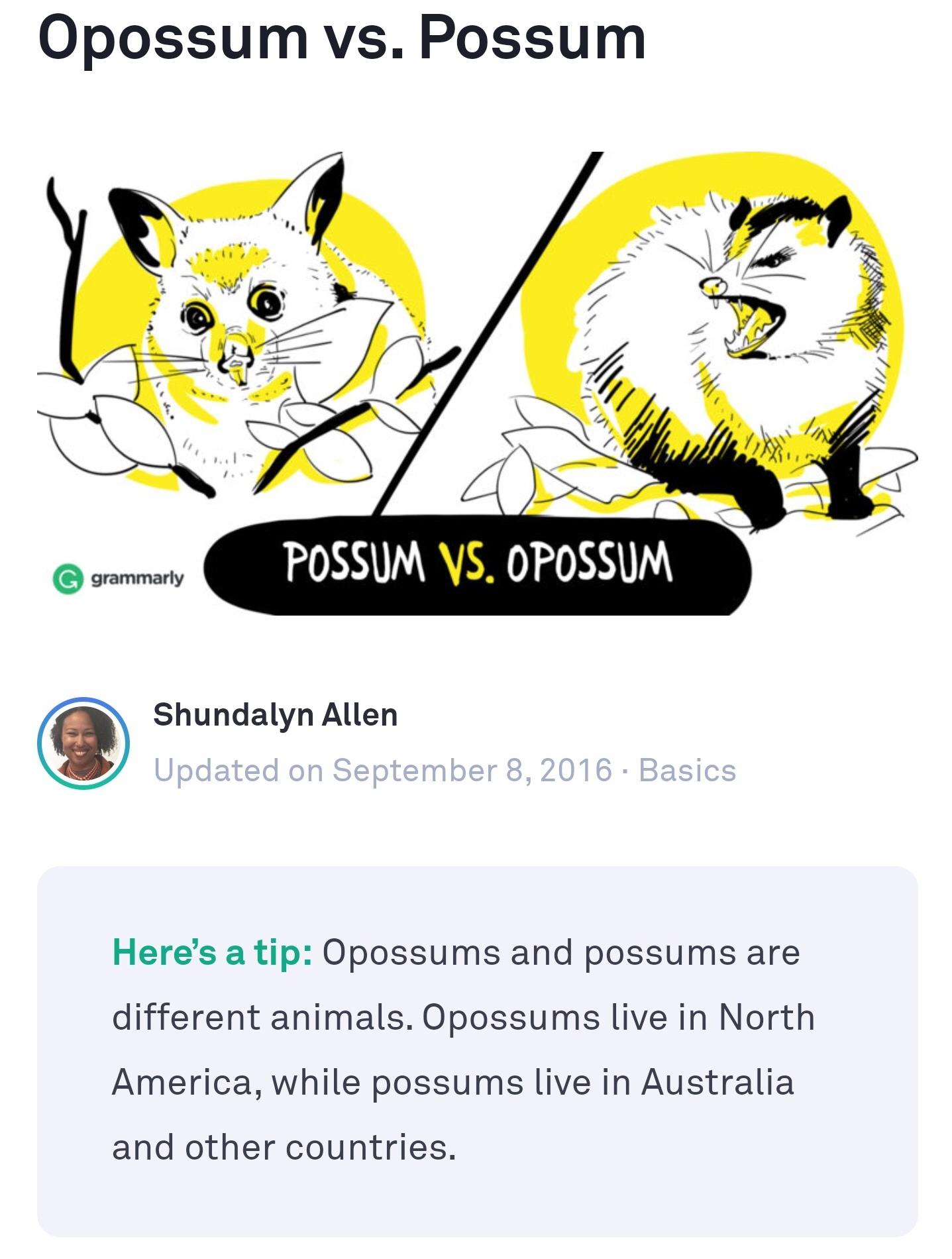 cartoon - Opossum vs. Possum li Possum Vs. Opossum G grammarly Shundalyn Allen Updated on Basics Here's a tip Opossums and possums are different animals. Opossums live in North America, while possums live in Australia and other countries.
