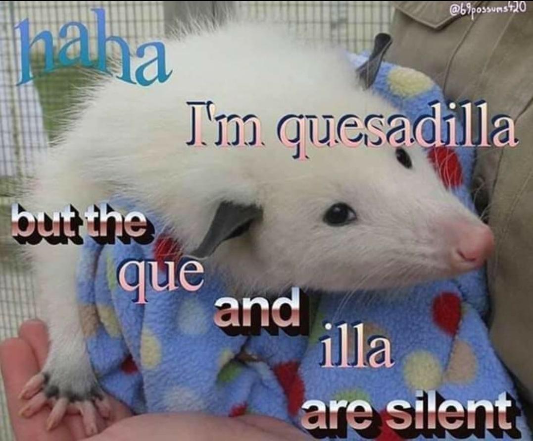clean opossum - 120 haha I'vo quesadilla but the que and illa are silent