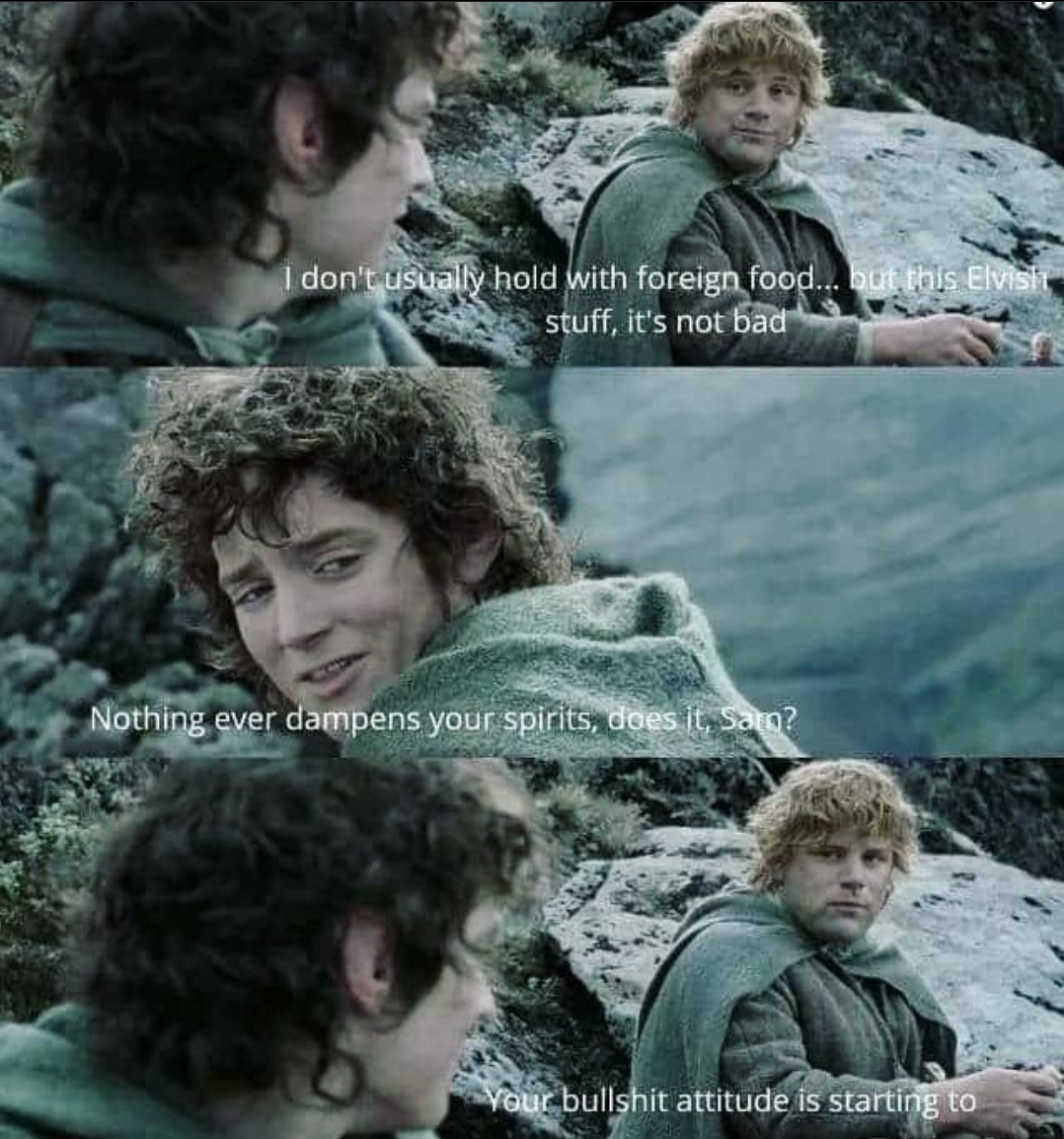 frodo drinking water meme - I don't usually hold with foreign food... but this Elvisit stuff, it's not bad Nothing ever dampens your spirits, does it, Sar? Your bullshit attitude is starting to