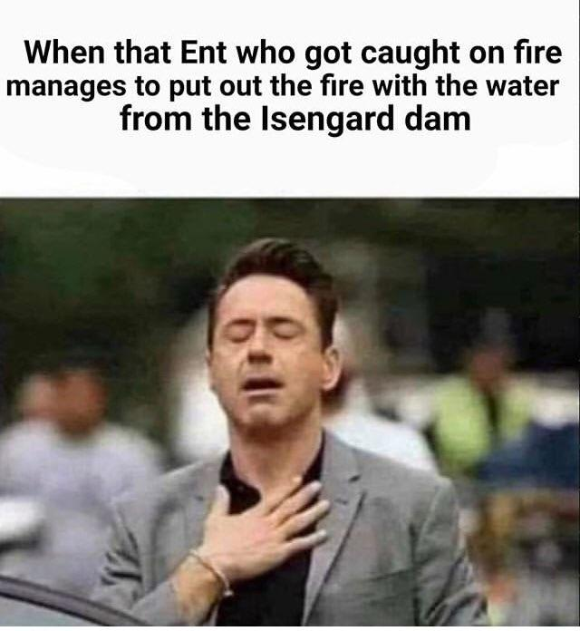 lord of the rings memes - When that Ent who got caught on fire manages to put out the fire with the water from the Isengard dam