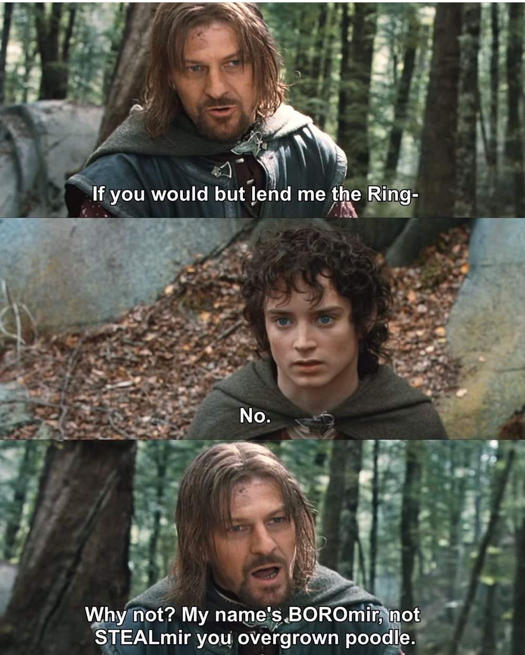 boromir ring meme - If you would but end me the Ring No. Why not? My name's BOROmir, not STEALmir you overgrown poodle.