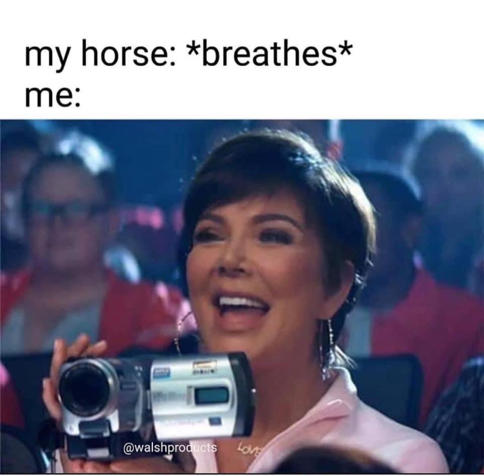 chris jenner dog meme - my horse breathes me @ Lon