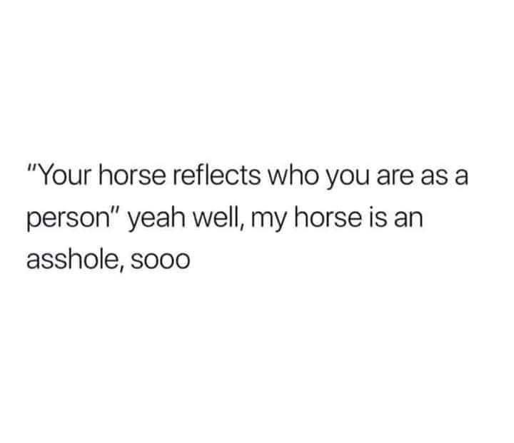 document - "Your horse reflects who you are as a person" yeah well, my horse is an asshole, sooo