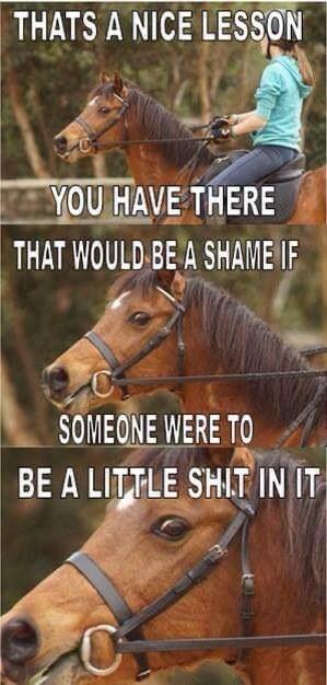 horse riding lesson memes - Thats A Nice Lesson 08 You Have There That Would Be A Shame If Someone Were To Be A Little Shit In It C