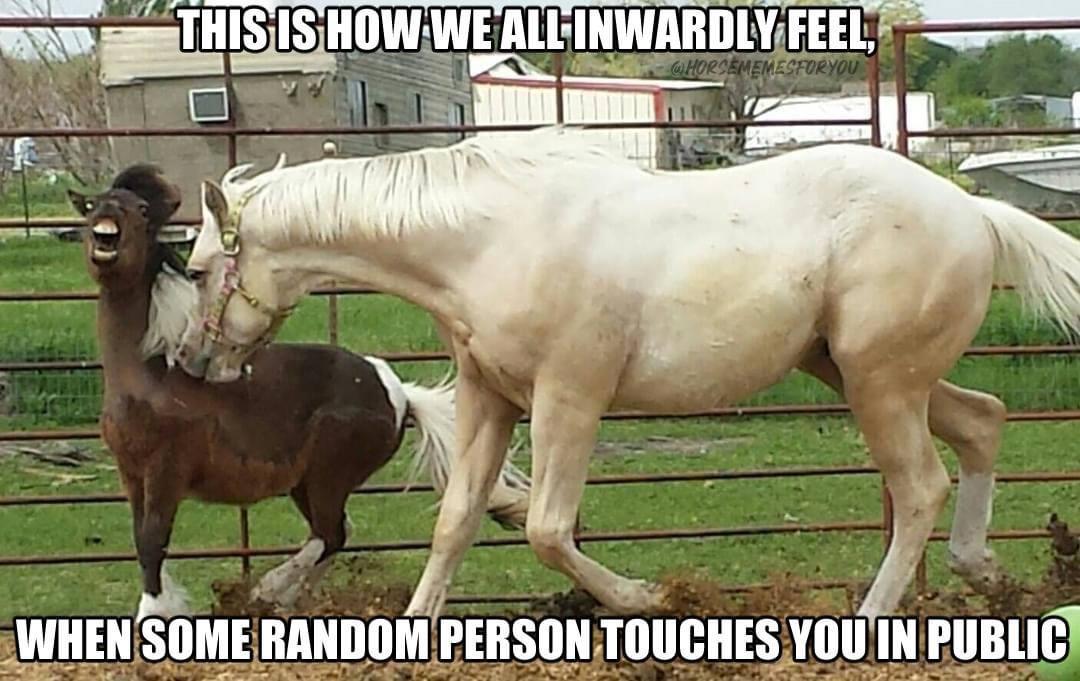 mare - This Is How We All Inwardly Feel, Whorsememesforyou wa When Some Random Person Touches You In Public