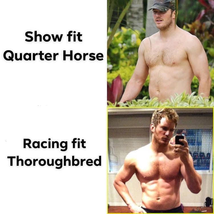 chris pratt shirt less - Show fit Quarter Horse Racing fit Thoroughbred