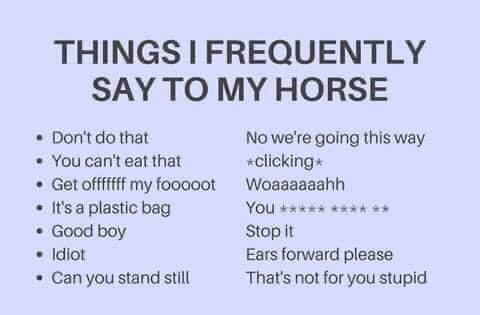 paper - Things I Frequently Say To My Horse Don't do that You can't eat that Get offfffff my fooooot It's a plastic bag Good boy Idiot . Can you stand still No we're going this way clicking Woaaaaaahh You Stop it Ears forward please That's not for you stu