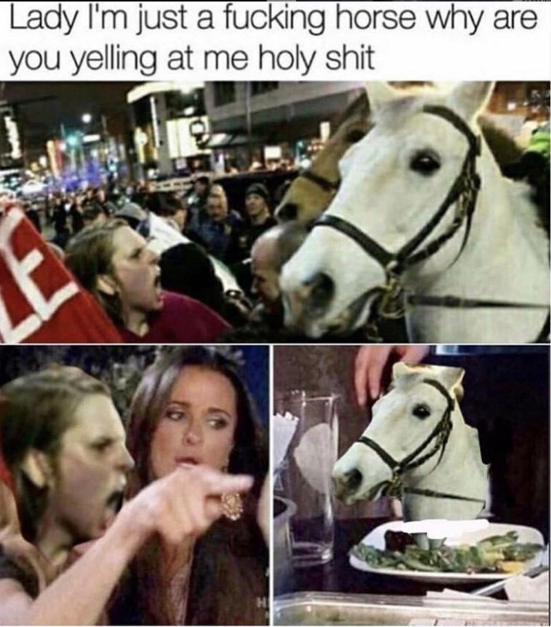 lady im just a horse - Lady I'm just a fucking horse why are you yelling at me holy shit H