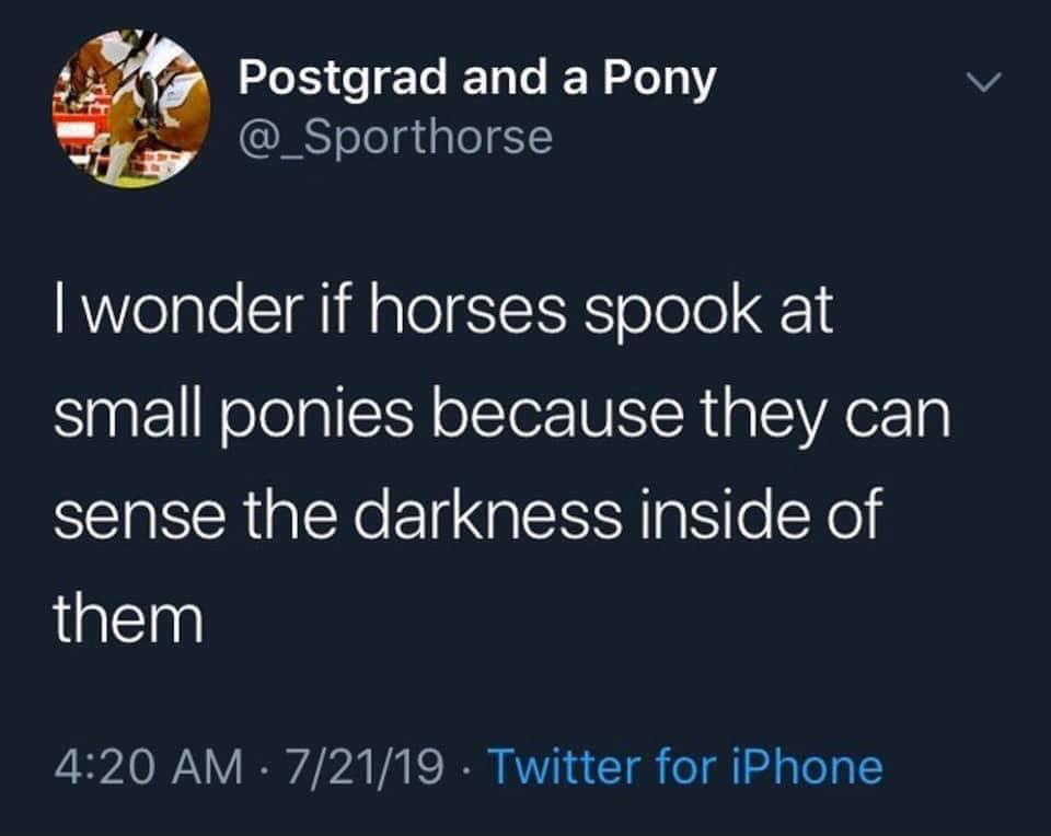 louie benson aew - Postgrad and a Pony I wonder if horses spook at small ponies because they can sense the darkness inside of them 72119 Twitter for iPhone