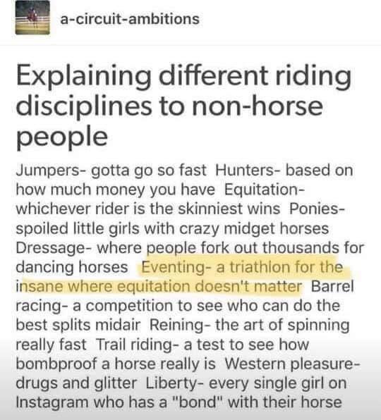 tvi express - acircuitambitions Explaining different riding disciplines to nonhorse people Jumpersgotta go so fast Hunters based on how much money you have Equitation whichever rider is the skinniest wins Ponies spoiled little girls with crazy midget hors