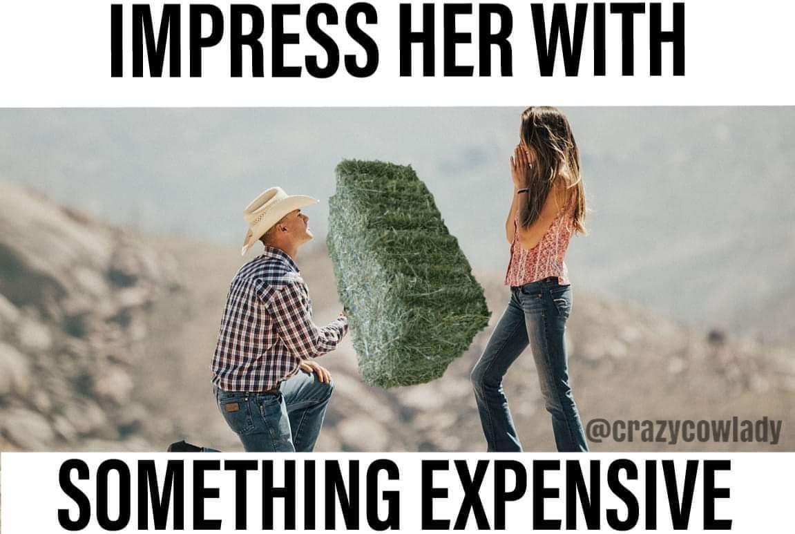 photo caption - Impress Her With Something Expensive