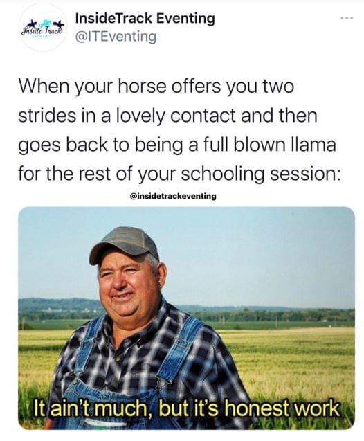 ain t honest but it's much irs - Flite Track Inside Track Eventing When your horse offers you two strides in a lovely contact and then goes back to being a full blown llama for the rest of your schooling session It ain't much, but it's honest work